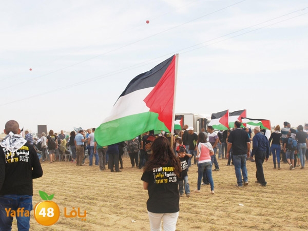 arddaynaqav331 (1).jpg